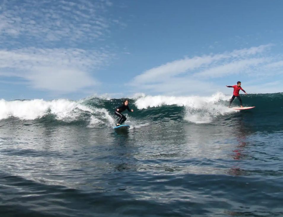 Surf
